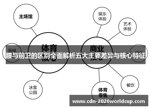 腰与前卫的区别全面解析五大主要差异与核心特征